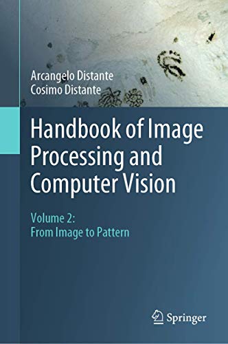 Handbook of Image Processing and Computer Vision: Volume 2: From Image to Pattern von Springer