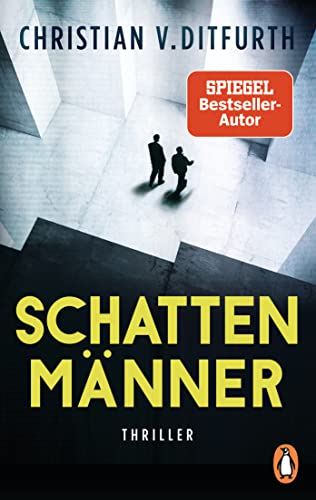 Schattenmänner: Thriller (Kommissar de Bodt ermittelt, Band 4)