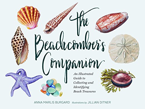 The Beachcomber's Companion: An Illustrated Guide to Collecting and Identifying Beach Treasures The Beachcomber's Companion: An Illustrated Guide to Collecting and Identifying Beach Treasures