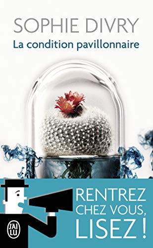 La condition pavillonnaire: Roman