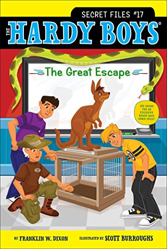 The Great Escape (Volume 17) (Hardy Boys: The Secret Files, Band 17)