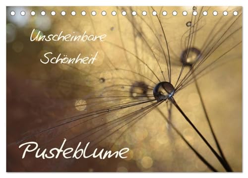 Unscheinbare Schönheit - Pusteblume (Tischkalender 2025 DIN A5 quer), CALVENDO Monatskalender: Unscheinbare Schönheit am Wegesrand und auf Wiesen von CALVENDO