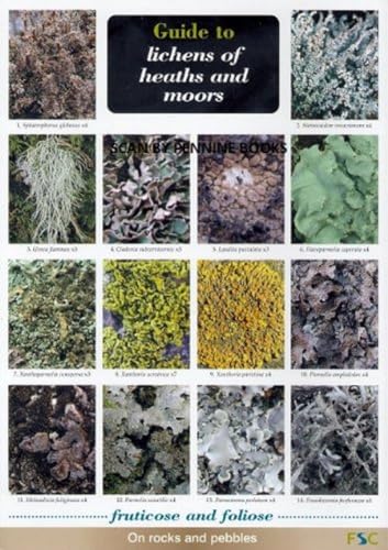 Guide to Lichens of Heaths and Moors