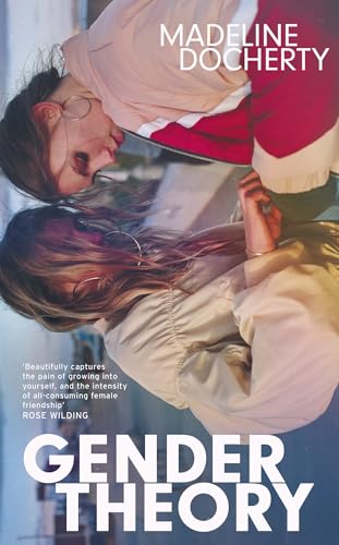 Gender Theory: 'A blazing new voice in Scottish fiction' (Father Anselm Novels)