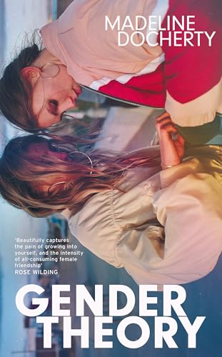 Gender Theory: 'A blazing new voice in Scottish fiction' (Father Anselm Novels)