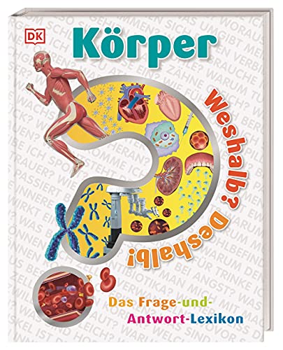 Weshalb? Deshalb! Körper: Das Frage-und-Antwort-Lexikon für Kinder ab 6 Jahre von DK