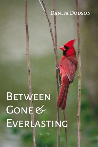 Between Gone and Everlasting: Poems von Resource Publications