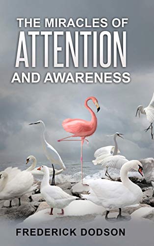 The Miracles of Attention and Awareness The Miracles of Attention and Awareness von Lulu
