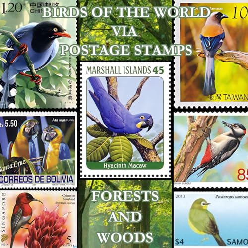 birds of the world via postage stamps : forests and woods: Discovering the Beauty of the World's Birds Through Stamp Collecting birds of the world via postage stamps : forests and woods: Discovering the Beauty of the World's Birds Through Stamp Collecting von Independently published