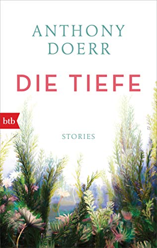 Die Tiefe: Stories