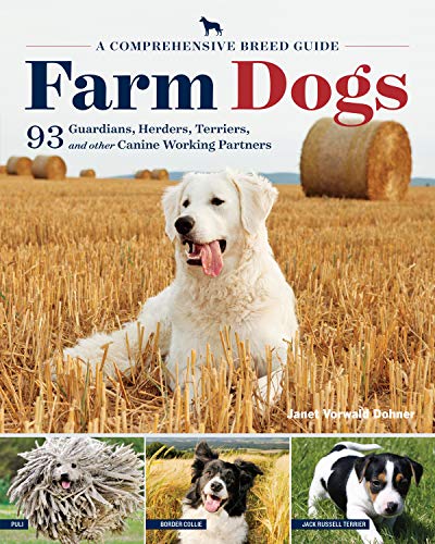 Farm Dogs: A Comprehensive Breed Guide to 93 Guardians, Herders, Terriers, and Other Canine Working Partners von Workman Publishing