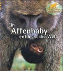 Ein Affenbaby entdeckt die Welt (Meine bunte Tierwelt)