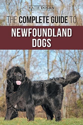 The Complete Guide to Newfoundland Dogs: Successfully Finding, Raising, Training, and Loving Your Newfoundland Puppy or Rescue Dog The Complete Guide to Newfoundland Dogs: Successfully Finding, Raising, Training, and Loving Your Newfoundland Puppy or Rescue Dog von LP Media Inc