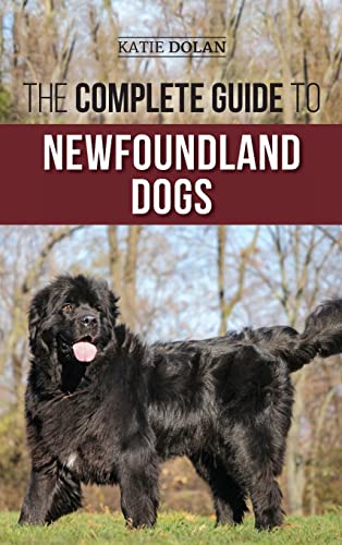 The Complete Guide to Newfoundland Dogs: Successfully Finding, Raising, Training, and Loving Your Newfoundland Puppy or Rescue Dog The Complete Guide to Newfoundland Dogs: Successfully Finding, Raising, Training, and Loving Your Newfoundland Puppy or Rescue Dog von LP Media Inc.