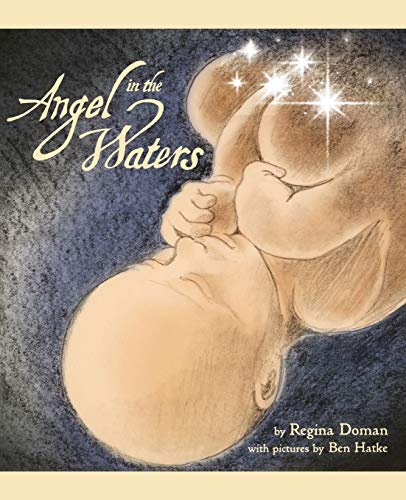 Angel in the Waters von Sophia Institute Press