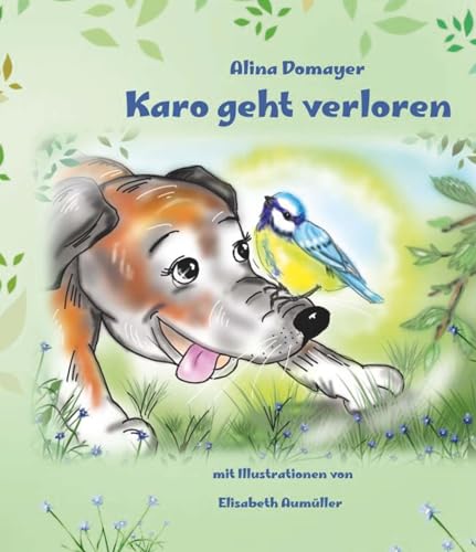 Karo geht verloren von Buchschmiede von Dataform Media GmbH