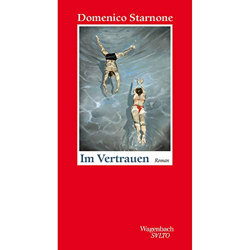 Im Vertrauen (Salto): Roman