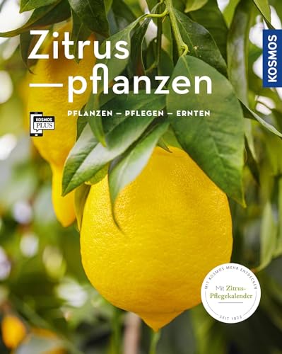 Zitruspflanzen: gestalten - pflanzen - ernten