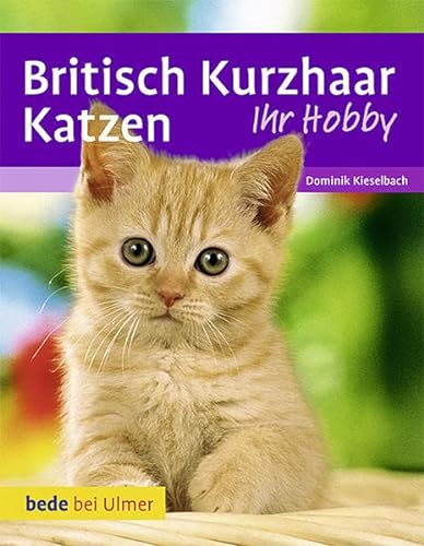 Britisch Kurzhaar Katzen von Ulmer Eugen Verlag