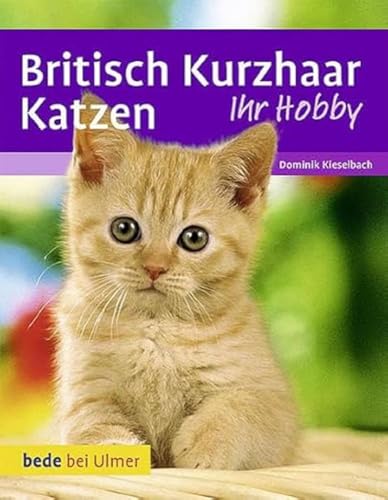 Britisch Kurzhaar Katzen von Ulmer Eugen Verlag