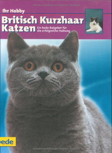 British Kurzhaar Katzen, Ihr Hobby