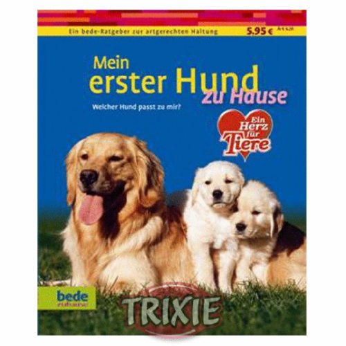 Mein erster Hund zu Hause: Welcher Hund passt zu mir?