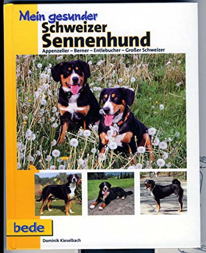 Mein gesunder Schweizer Sennenhund