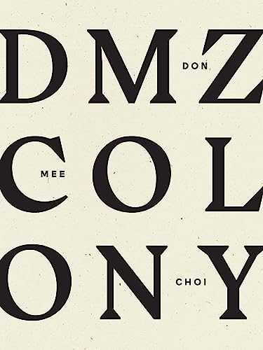 DMZ Colony von Wave Books