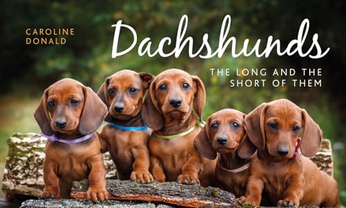 Dachshunds: The Long and the Short of Them von Pimpernel Press