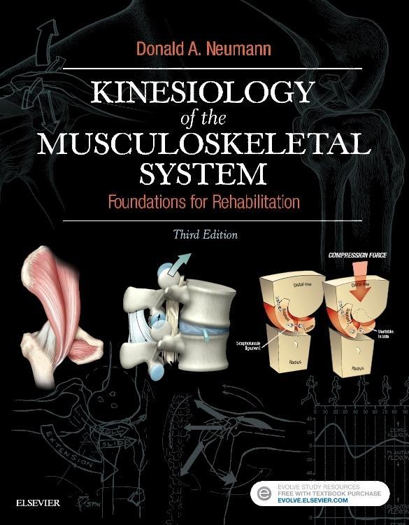 Kinesiology of the Musculoskeletal System von Elsevier LTD Oxford