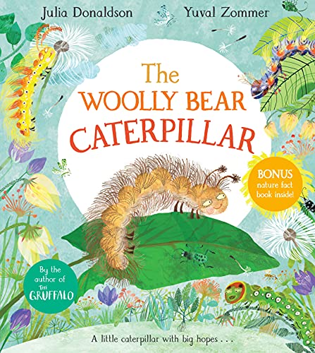 The Woolly Bear Caterpillar The Woolly Bear Caterpillar
