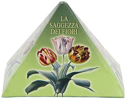 Flowers Wisdom