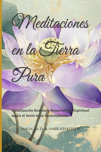Meditaciones en la Tierra Pura: Visualización Budista y Renacimiento Espiritual según el Sutra de la Contemplación (Buddhist & Taoist Texts Translations) von Independently published