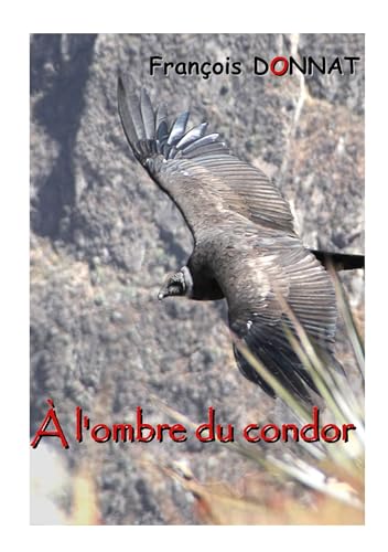 À l'ombre du condor von BoD – Books on Demand – Frankreich