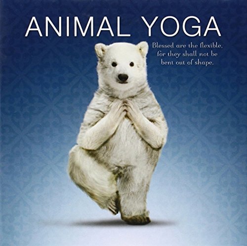 Animal Yoga (Willow Creek Gift Books)