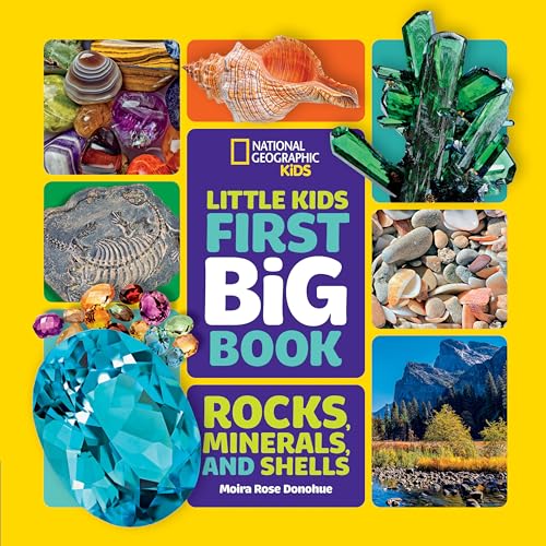 Little Kids First Big Book of Rocks, Minerals & Shells (First Big Books)