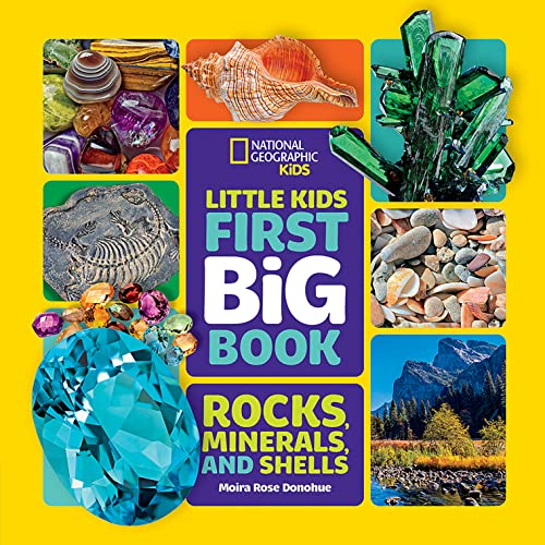 Little Kids First Big Book of Rocks, Minerals & Shells (First Big Books)