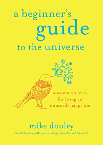 A Beginner's Guide to the Universe: Uncommon Ideas for Living an Unusually Happy Life von Hay House UK