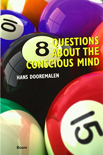 8 questions about the conscious mind