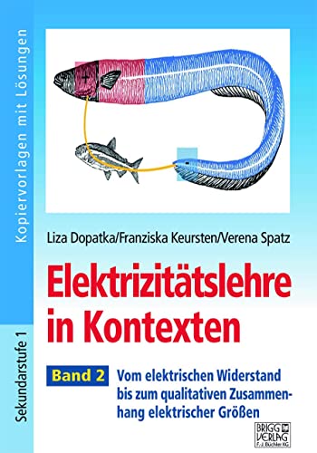 Elektrizitätslehre in Kontexten - Band 2: Vom elektrischen Widerstand bis zum qualitativen Zusammenhang elektrischer Größen von Brigg Verlag KG
