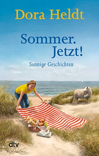 Sommer. Jetzt!: Sonnige Geschichten von dtv Verlagsgesellschaft