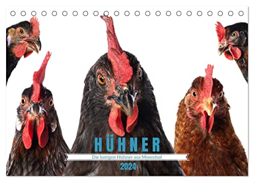 Die lustigen Hühner aus Mosenhof (Tischkalender 2024 DIN A5 quer), CALVENDO Monatskalender