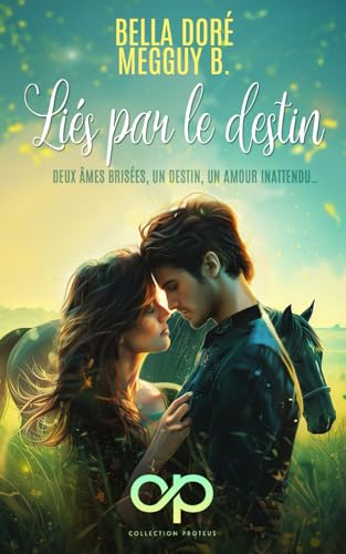 Liés par le destin: Romance feel good et slow burn Liés par le destin: Romance feel good et slow burn von Homoromance Éditions