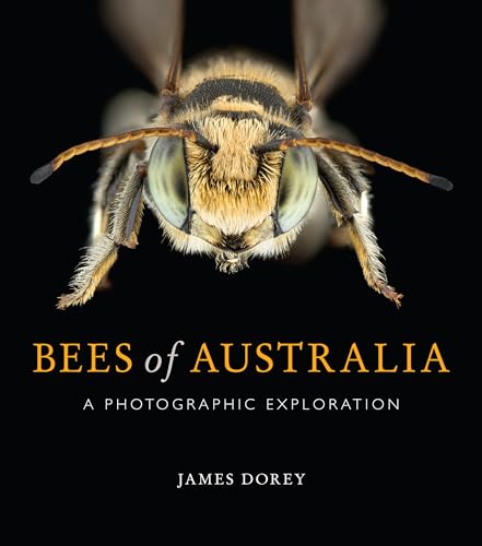 Bees of Australia: A Photographic Exploration von CSIRO Publishing