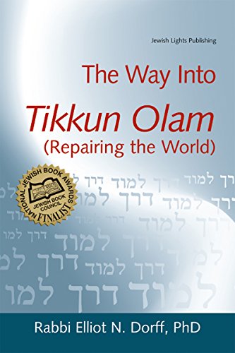 Way Into Tikkun Olam (Repairing the World) (The Way Into...)