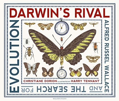 Darwin's Rival: Alfred Russel Wallace and the Search for Evolution (Walker Studio) von Walker Books