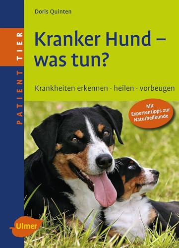 Kranker Hund - was tun?: Krankheiten erkennen, heilen, vorbeugen