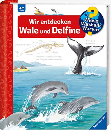 Wieso? Weshalb? Warum?, Band 41: Wir entdecken Wale und Delfine (Wieso? Weshalb? Warum?, 41)