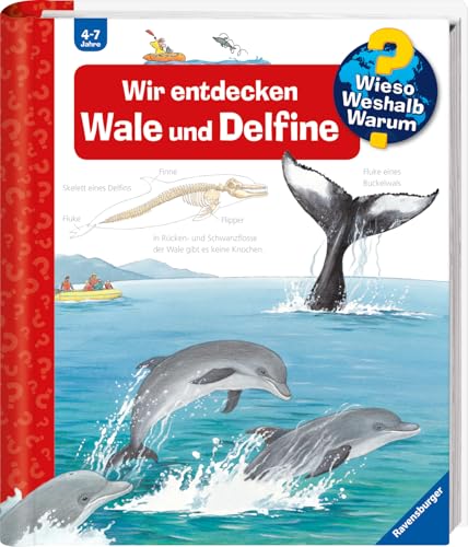 Wieso? Weshalb? Warum?, Band 41 - Wir entdecken Wale und Delfine Wieso? Weshalb? Warum?, Band 41 - Wir entdecken Wale und Delfine