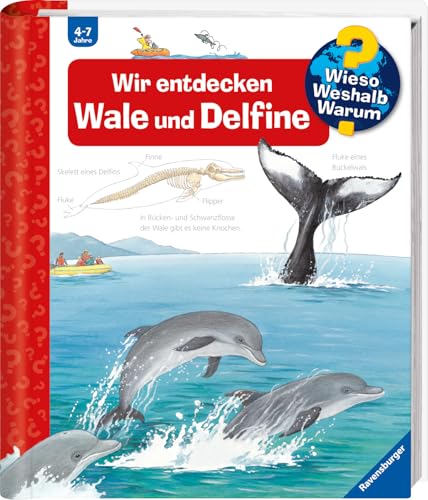 Wieso? Weshalb? Warum?, Band 41: Wir entdecken Wale und Delfine (Wieso? Weshalb? Warum?, 41)